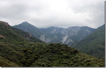 IMG_0516