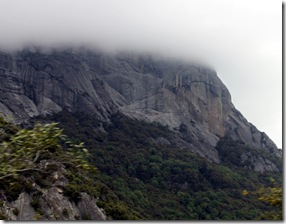 IMG_0546